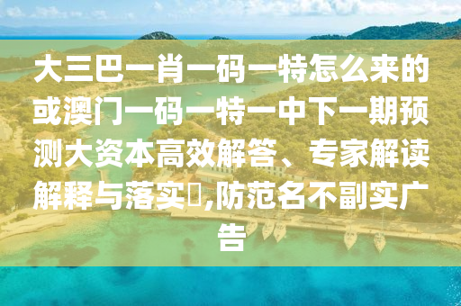 大三巴一肖一碼一特怎么來的或澳門一碼一特一中下一期預(yù)測大資本高效解答、專家解讀解釋與落實?,防范名不副實廣告