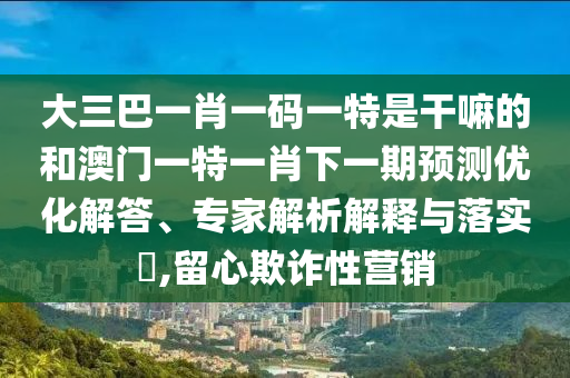 大三巴一肖一碼一特是干嘛的和澳門一特一肖下一期預(yù)測優(yōu)化解答、專家解析解釋與落實?,留心欺詐性營銷